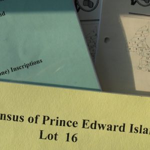 Prince Edward Island 'Strays in the 1881 Census: Volume I
